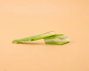 Deux morceaux d’une feuille d’aloe vera tranchée