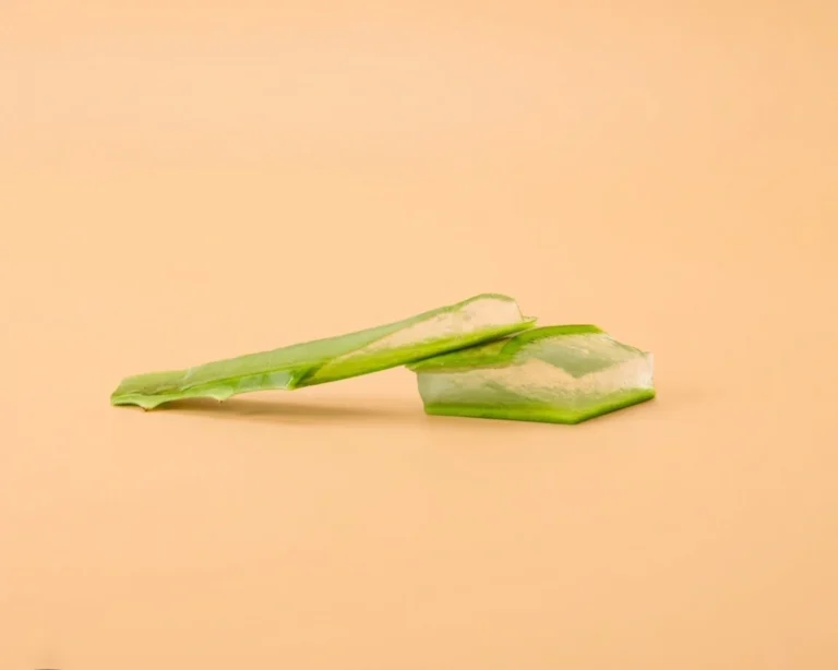 Deux morceaux d’une feuille d’aloe vera tranchée